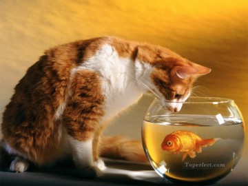 動物 Painting - 猫と金魚